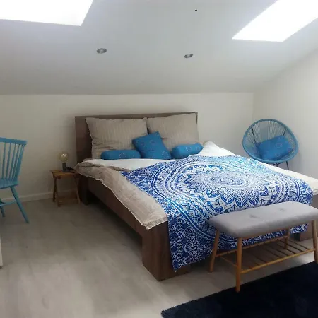 Apartment Liberec شقة