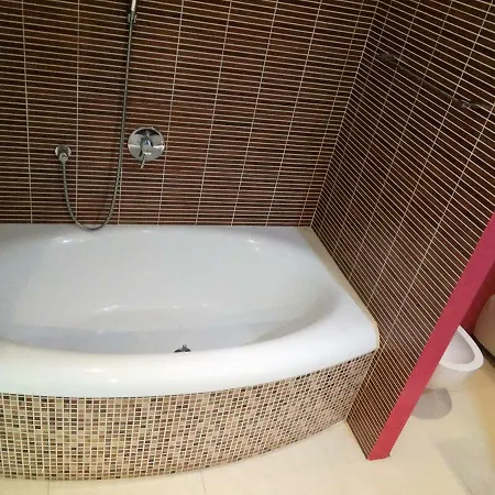 Apartment Liberec شقة